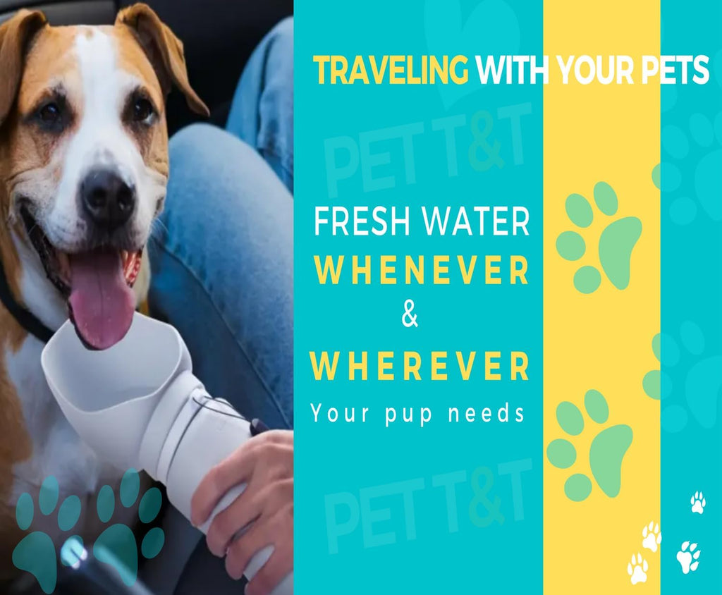 Petlix Trail Bottle — Portable Foldable Dog Water Bottle