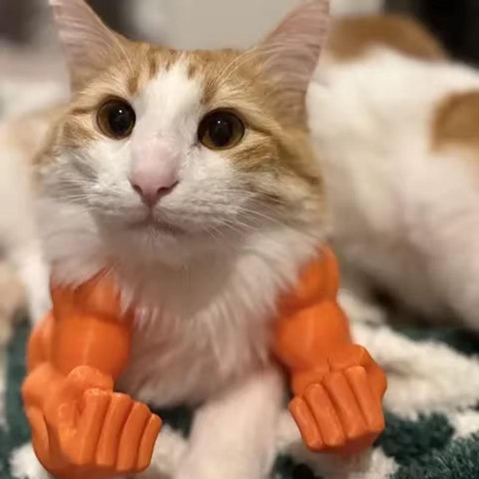 3D-Printed Muscle Arm Costume for Pets – Halloween & Party Accessory