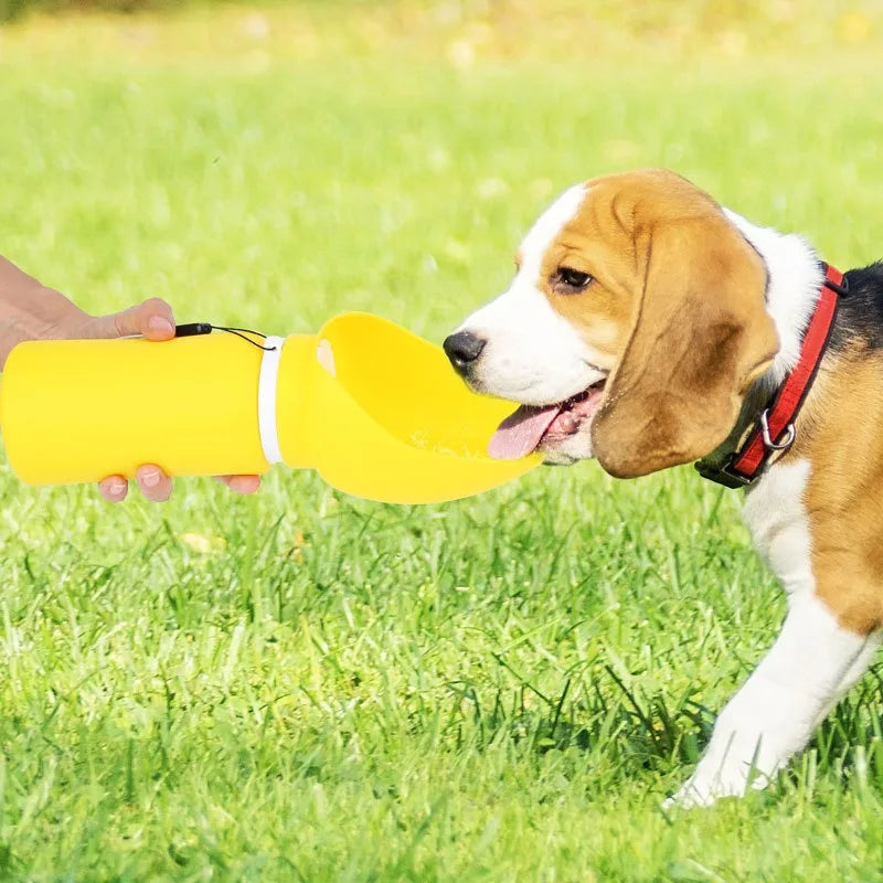 Petlix Trail Bottle — Collapsible Dog Water Bottle with Drinking Tray, Leak-Proof & Portable, 550ml