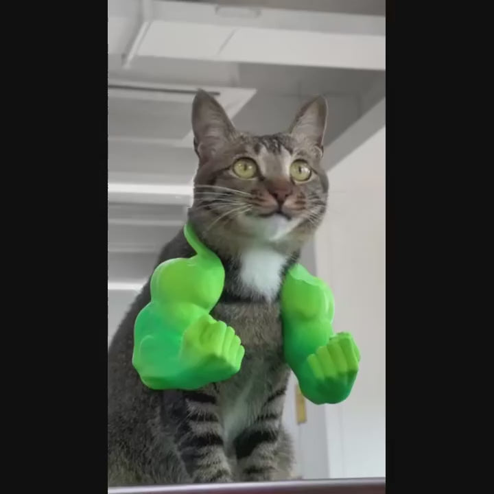 3D-Printed Muscle Arm Costume for Pets – Halloween & Party Accessory